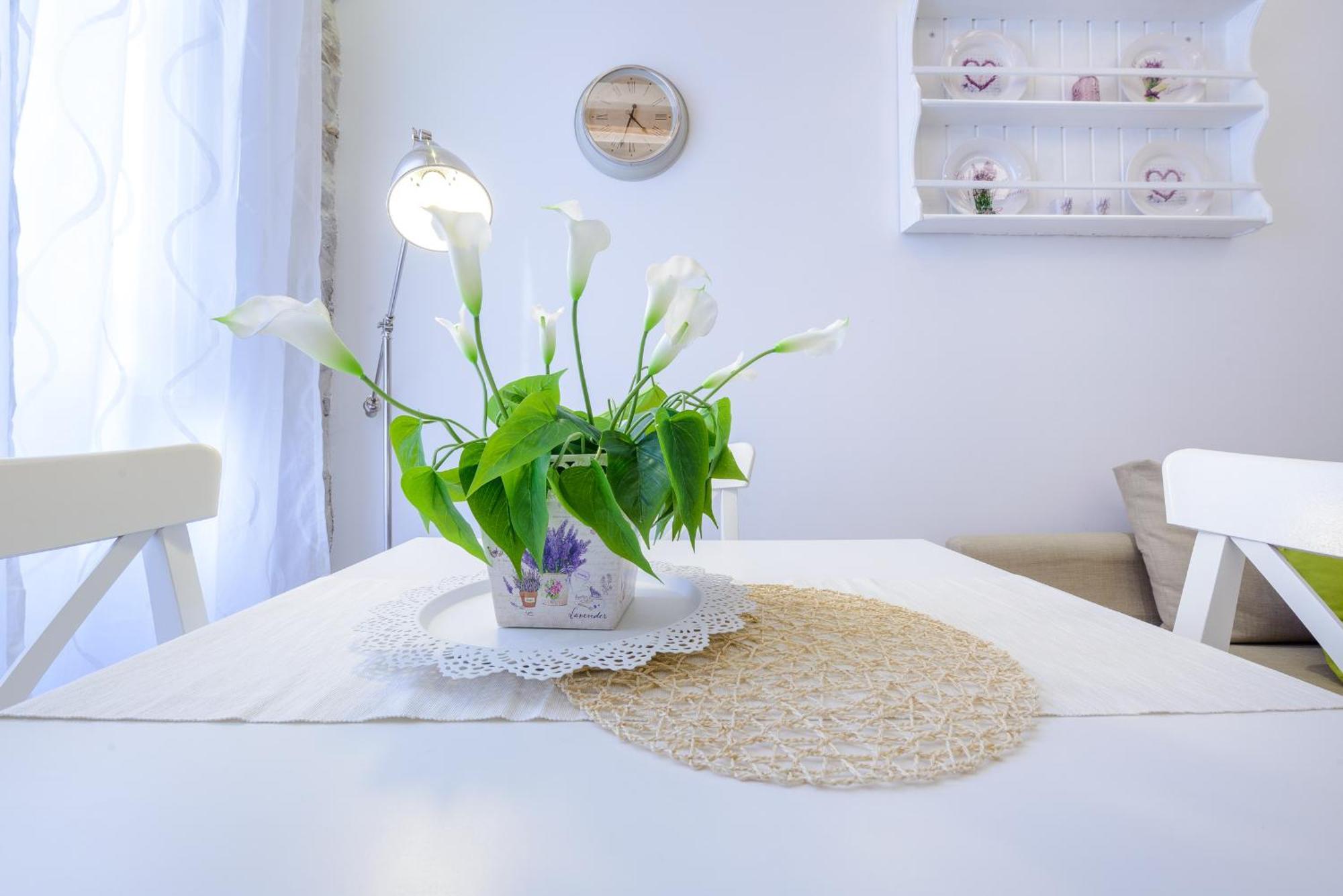 Dream Holiday Apartment Dubrovnik